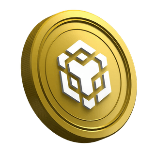 En la página de la guía del trader principiante aparece la criptomoneda BNB